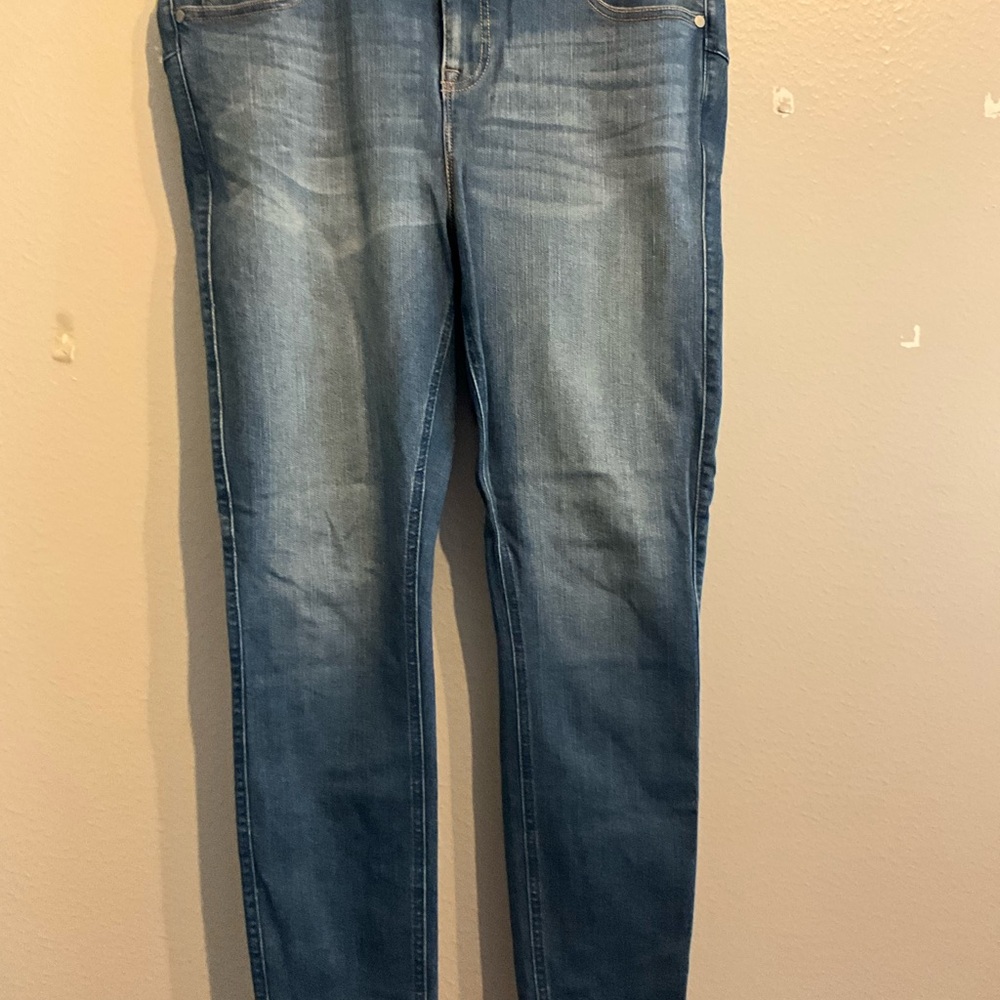 Torrid Blue Denim Jeans